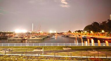 東京ワイン会　夢の島2